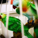 Papageien im Käfig von GILDE